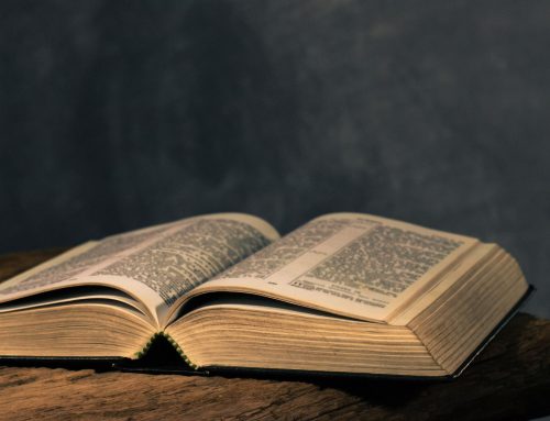 “Now You See Me…”